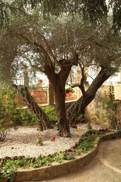 B&B Villa Casablanca Enna Exteriör bild